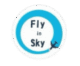flyinsky logo trans